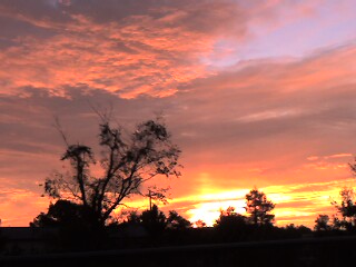 [This view has a lot of yellow in the sky and very little blue visible (upper right corner) as the sky is filled with the pinkish clouds.]